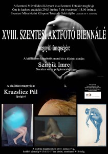 Aktfotó Biennálé plakát 2015