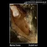 Marton Ferenc - Festett test