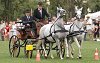 Szentesen, a sportplyn lovasversenyt rendeztek Fot: Vidovics Ferenc