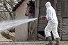 Ferttlents Lapistn. Abban bznak, hogy sikerl megakadlyozni a madrinfluenza terjedst. Fot: MTI/Nmeth Gyrgy