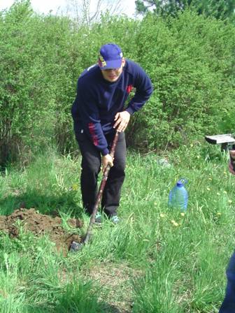 Fa&uuml;ltet&eacute;s