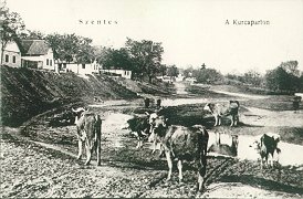 A Kurca-parton (Mester, 1912) 