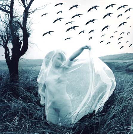 L�k�s Zolt�n - P�ros 1