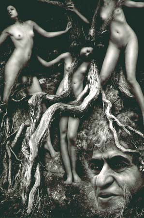 Szathm�ri-Kir�ly �d�m - L�tom�s