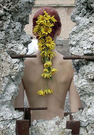 T�th K�roly - Vir�gok