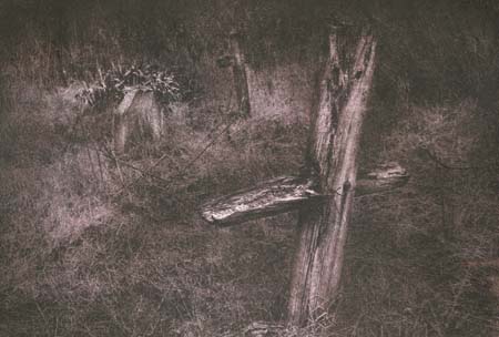 G�l Andr�s - Romtemet�