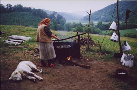 Barna Karolin - Boszork�nykonyha
