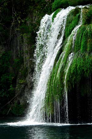 M�cz�r Tam�s - Friss�t� zuhatag