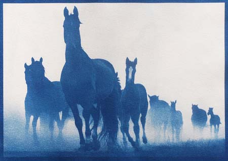 Ujv�ri S�ndor - Hortob�gyi m�nes