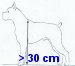 Nagy kutya = 30 cm feletti marmagasság - illusztráció az Állattartási rendeletből. Forrás: www.szentesinfo.hu/testulet
