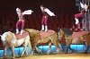 Csongrdi szereplsk utn a szentesieket szrakoztatjk az akrobatk. Fot: Segesvri Csaba