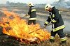 Négy városból érkeztek tűzoltók, hogy megállítsák a terjedő lángokat Fotó: Vidovics Ferenc