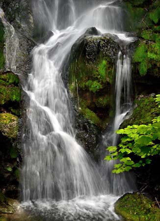 30. M�cz�r Tam�s - F�tyol