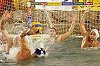 Tavaly: Legrand-Szentes - Domino 5-18 - Fotó: Vidovics Ferenc