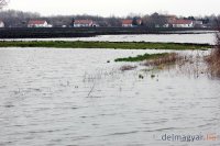 Csongrád megyei belvíz - most még kezelhető. Fotó: MTI, delmagyar.hu (galéria) 