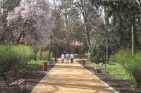 54 milli�b�l �jult meg Szentes egykori s�takertje. A szerz� felv�tele