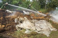 B�l�k �gtek Szentesen. Fot�: Kr�lik Emese