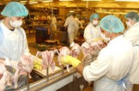 Feldolgoz� sor a Hungerit Zrt-ben. Fot�: DM/DV