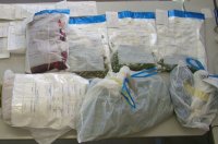 A lefoglalt marihu�na. Fot�: CSMFRK