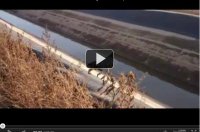 A gyilkos �nt�z�csatorna - video
