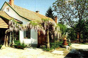The house in Szentes - Lakhelyk Szentesen
